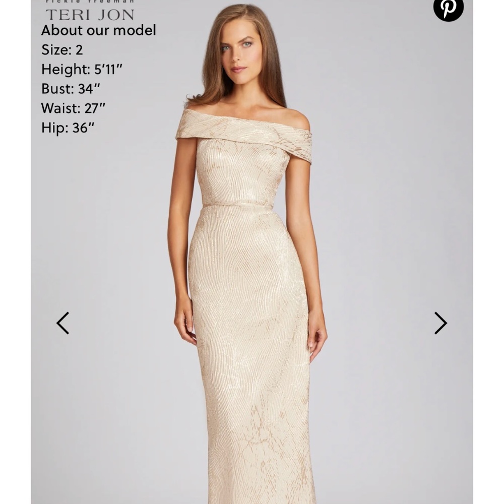 Teri Jon gown